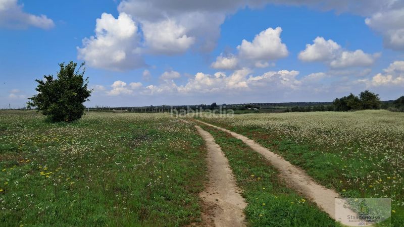 Foto d07a1437-56c2-45ed-8b15-e068742f04ad. Masia a Bollullos Par del Condado