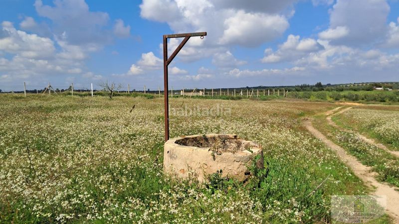 Foto ec36d90f-913e-4c95-b3c6-e42484cce69f. Masia a Bollullos Par del Condado