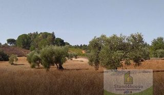 Mas à Villarrasa. Villarrasafinca rustica