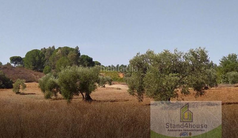 Foto 15a94768-49e4-40d0-8f5a-94556973b48c. Masia a Villarrasa