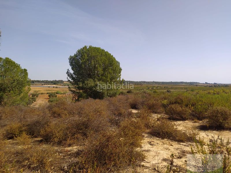 Foto 69f32685-7c64-472f-9969-1a279f59fad1. Masia a Villarrasa