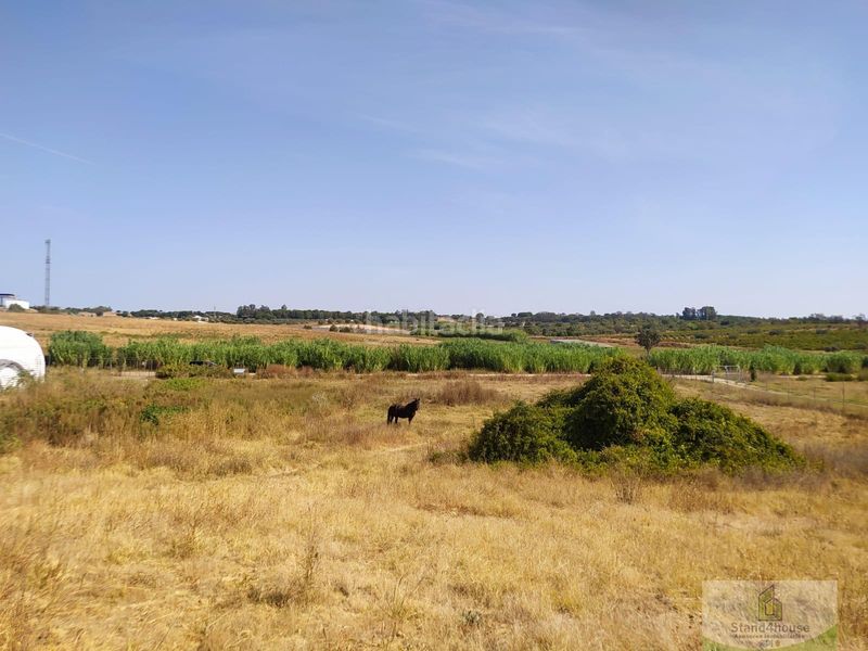 Foto afd5a4dd-0044-4ce3-8b4d-9d5dd30c6979. Masia a Villarrasa