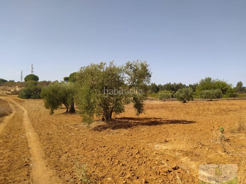 Foto 5464ba9c-58b7-46c7-bb45-96cf3fee20ae. Masia a Villarrasa