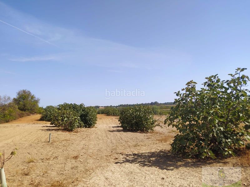 Foto 5629c6be-8d1d-48f3-8694-74e5d6713df1. Masia a Villarrasa