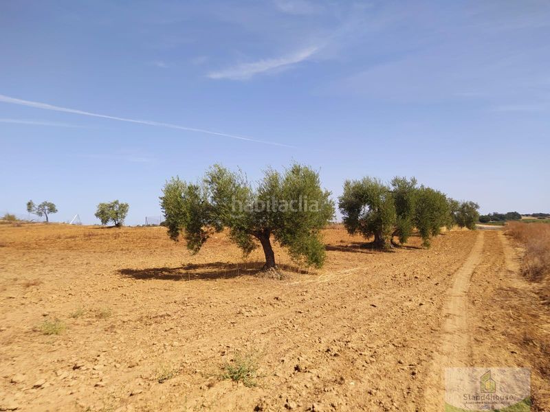 Foto 97fb6158-13aa-403d-b0d2-e63e002468b4. Masia a Villarrasa