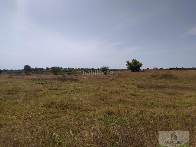 Foto bd4faa32-2697-40c3-9d80-e75f3873552e. Masia a Villarrasa