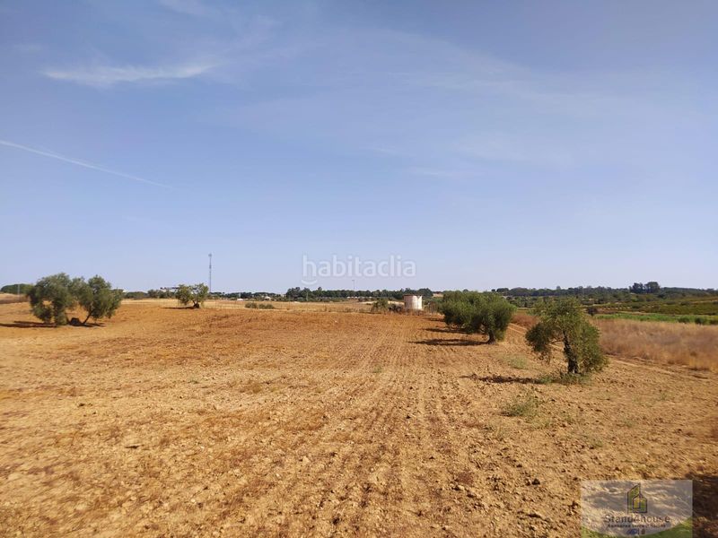 Foto fd6595c5-d2da-4996-88fc-5d7876df1ae1. Masia a Villarrasa