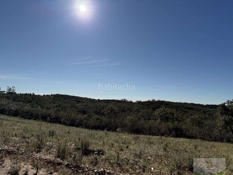 Foto 3a61f911-cc67-4db7-b619-b002bb598f0e. Masia a Berrocal