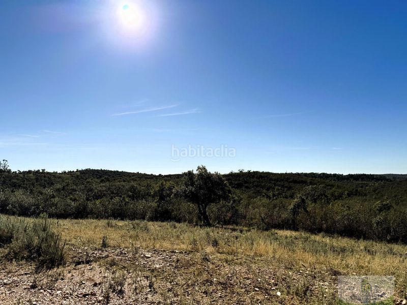 Foto 9868528f-260d-4668-8969-ce6683009107. Masia a Berrocal