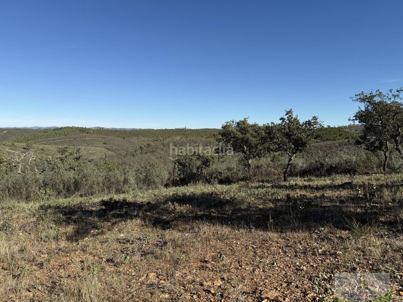 Foto c5a327f1-e766-4937-9d1d-ed177b20eb70. Masia a Berrocal