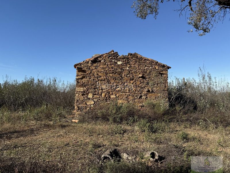 Foto 40c52961-0e12-4fb5-86f2-119ccd22088b. Masia a Berrocal