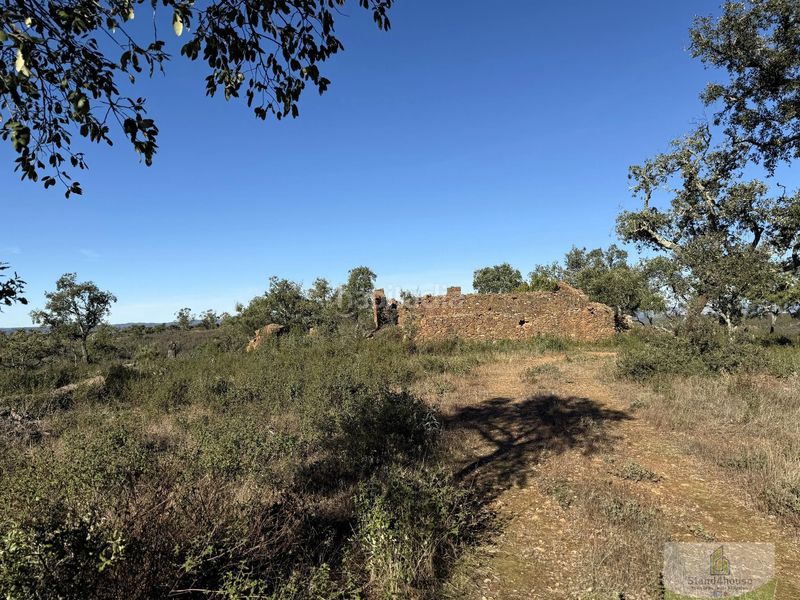 Foto 9b24604c-135e-4da7-ab0c-e4b1b6dee4bc. Masia a Berrocal