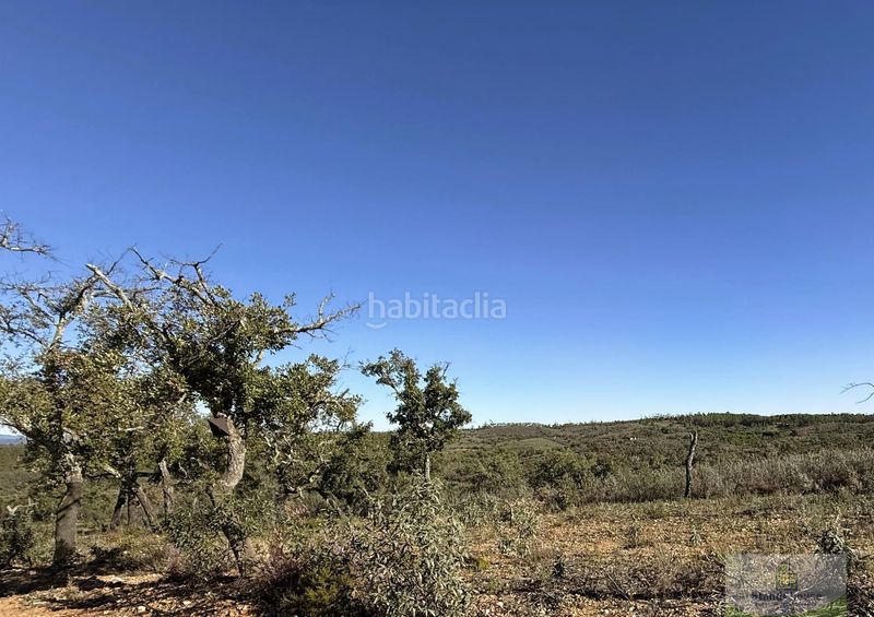 Foto 0618844c-c716-4c87-b782-889544349c1a. Masia a Berrocal