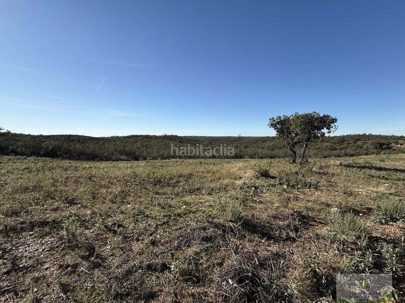 Foto 1dd54c66-6aef-4d79-addc-4e7109986c35. Masia a Berrocal