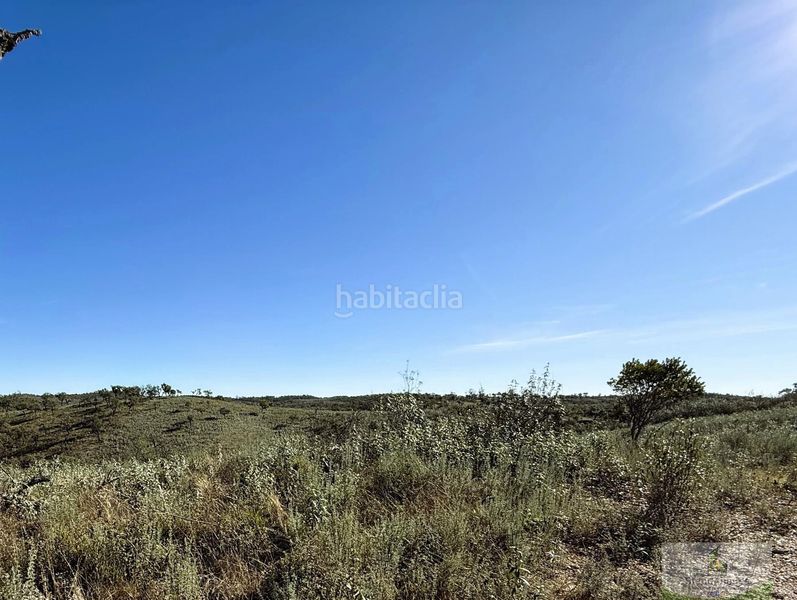 Foto 3d51e1a5-14cc-4de0-877f-143ec1c81a64. Masia a Berrocal
