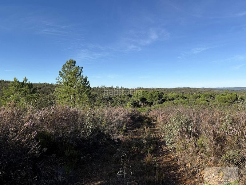 Foto 440aadfa-ce16-4ef0-a212-bd2aac986fae. Masia a Berrocal