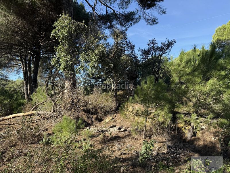 Foto 667107de-ae7d-48d9-b345-bbfbf8f3df84. Masia a Berrocal
