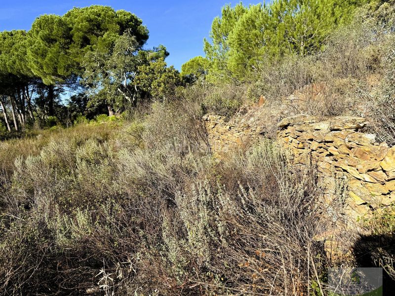 Foto 7e92d72b-c5c2-430f-9716-a1152ce5c48d. Masia a Berrocal