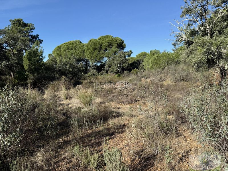 Foto 8b6e5025-cdf7-4604-8758-38c70982c5a7. Masia a Berrocal