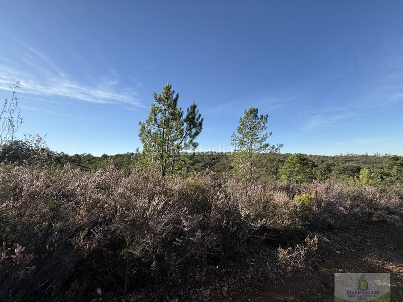 Foto a4dd07d6-44f7-4518-9c35-0e81973f37df. Masia a Berrocal
