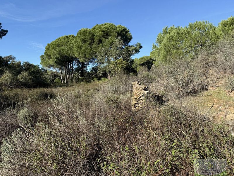 Foto b03b487b-bd38-44cc-9002-a473885316b1. Masia a Berrocal