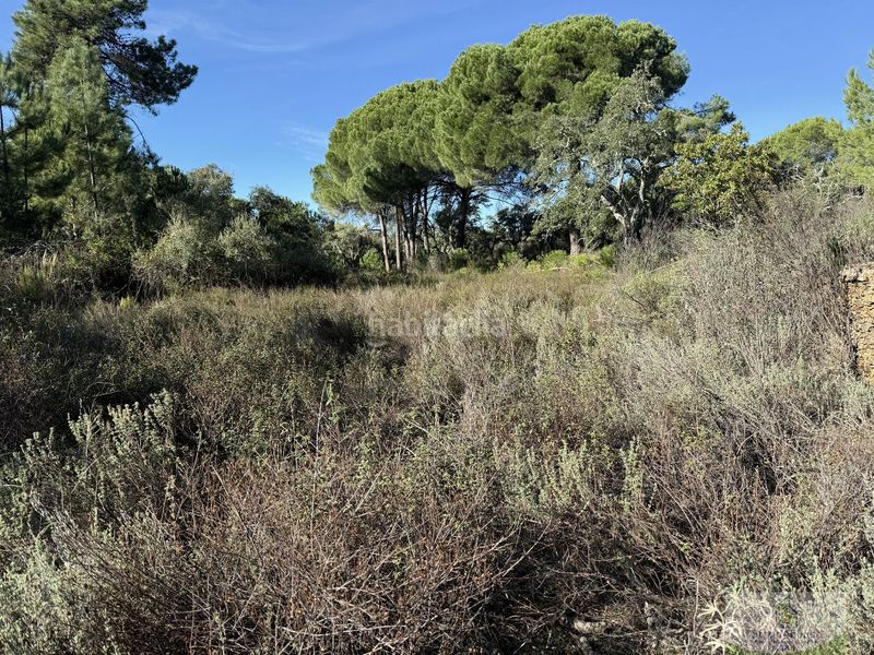Foto e328e041-eaa7-4d1f-a53f-0b2ba16987eb. Masia a Berrocal