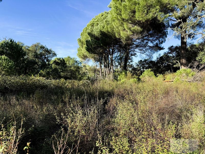 Foto ef04af3e-683e-4f59-bf74-1b262073f9b3. Masia a Berrocal