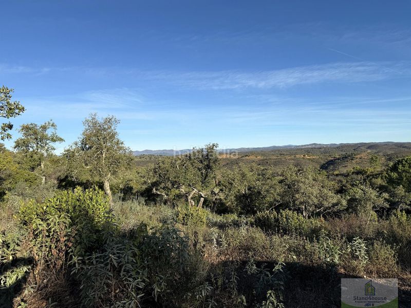Foto 1bbe4938-4d12-418a-9368-879c4dd5e4a4. Masia a Berrocal