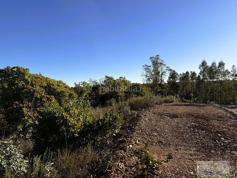 Foto d98fd96b-d4f1-475f-8370-2b657385b349. Masia a Berrocal