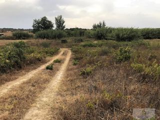 Masia a Bollullos Par del Condado. Bollullos par del condadofinca rustica