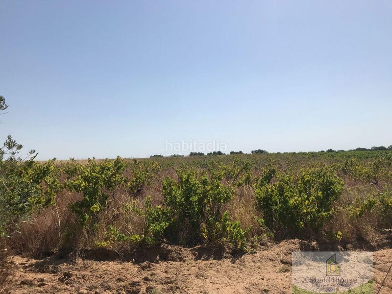 Foto 786e98fa-e25c-44fe-96e6-e07620a37e23. Masia a Bollullos Par del Condado