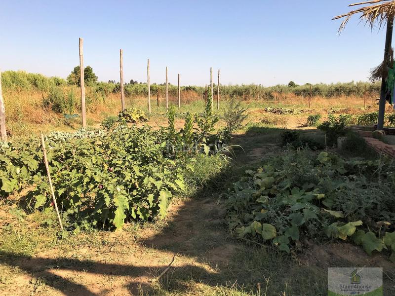 Foto 1a699b5a-fe3f-409c-b38e-a880f496a092. Country house in Rociana del Condado