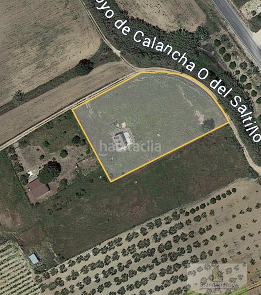 Foto 6918e213-5a52-47e5-bbac-7c9d24f46ba5. Country house in Rociana del Condado