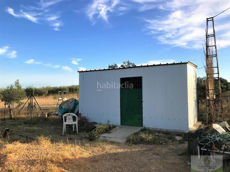 Foto 7049bcf6-75e3-44c7-a495-a6d4742e9a07. Country house in Rociana del Condado