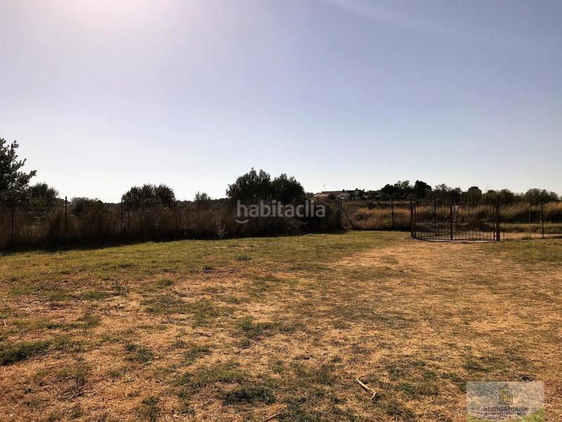 Foto 87f92f4c-35c4-4318-baf5-b243693e0c56. Country house in Rociana del Condado