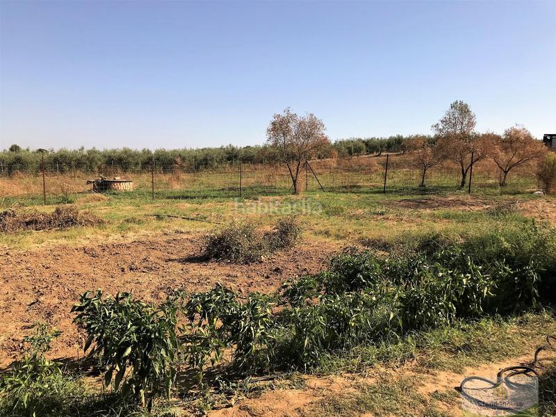 Foto cf31535f-752c-4ba1-9071-1d627c5ebf0c. Country house in Rociana del Condado