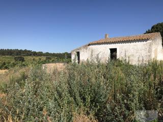 Masia a Chucena. Hinojosfinca rustica