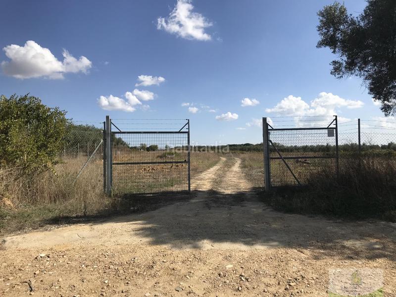 Foto 06d22e88-7e5a-4625-b860-cfbc6f42ba45. Bauernhof mit parking in Rociana del Condado