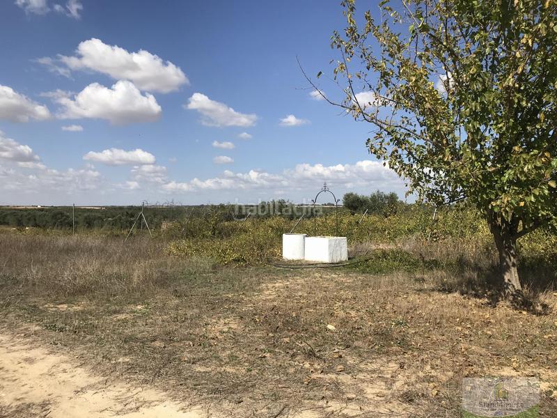 Foto 0948f253-46f6-4972-80b6-c6206db7f3d8. Bauernhof mit parking in Rociana del Condado