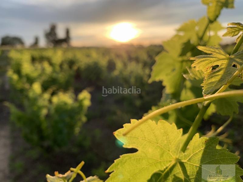 Foto 0dfb9542-ce5f-4f40-86ce-8ed908abf99b. Bauernhof mit parking in Rociana del Condado