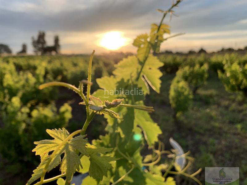 Foto 42b8939e-bf27-418b-8bec-0f65884e71eb. Bauernhof mit parking in Rociana del Condado