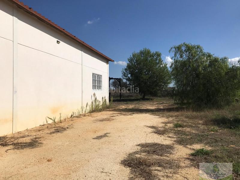 Foto 6d280fa9-7cf4-42c5-8d75-5147958895ff. Bauernhof mit parking in Rociana del Condado