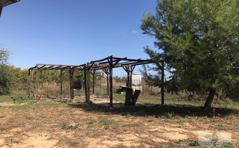 Foto 7070a7cd-1025-446a-a274-16193811a9ab. Bauernhof mit parking in Rociana del Condado