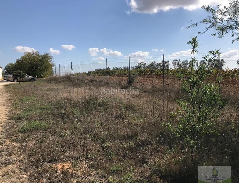 Foto 7fdef2b1-d39c-4341-a239-572f4fdf21ea. Bauernhof mit parking in Rociana del Condado