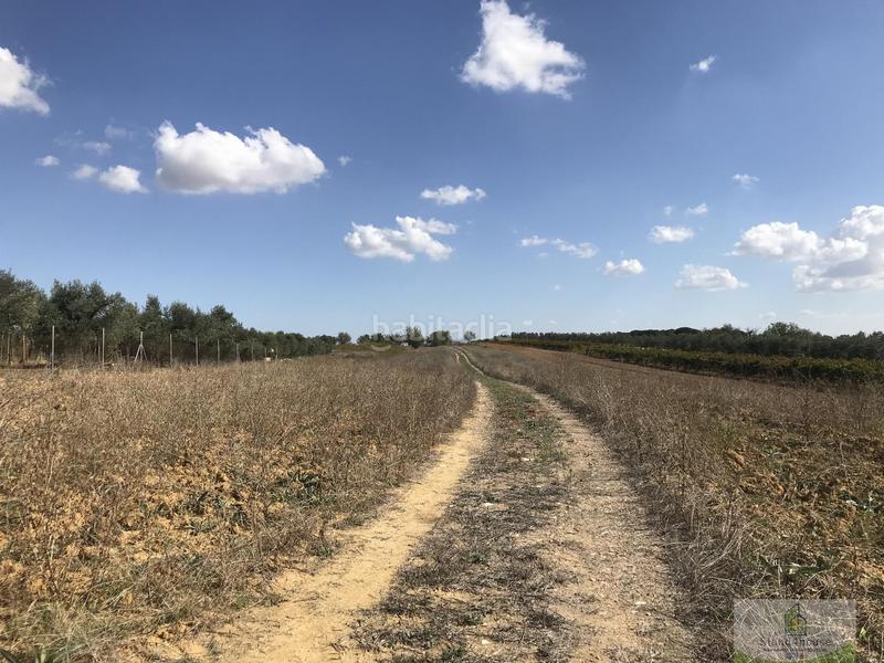 Foto b0e4659d-a3ec-4f8d-9a45-d03232551b81. Bauernhof mit parking in Rociana del Condado