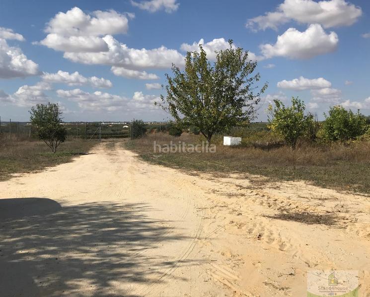 Foto de00bad0-116a-4ceb-9ebe-9030518531f6. Bauernhof mit parking in Rociana del Condado