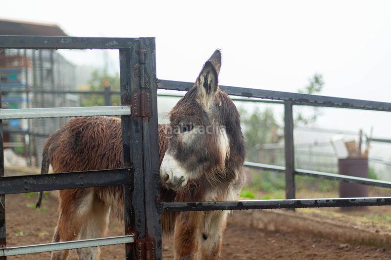 Foto 41a4a62e-ffaf-404a-b013-245dd3ef2a3a. Chalet in calle lomo pilón 3 in San José de las Vegas - La Atalaya Santa Brígida