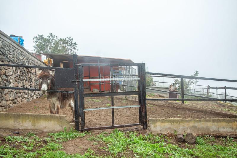 Foto 42abef29-6ede-45b1-b1d9-5d766bd6c86f. Chalet in calle lomo pilón 3 in San José de las Vegas - La Atalaya Santa Brígida