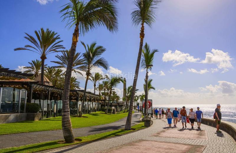 Foto ef6ceac6-ff36-43a9-88a8-84ebf9a8eca7. Local commercial dans calle mar blanco 6 dans Maspalomas - Meloneras San Bartolomé de Tirajana