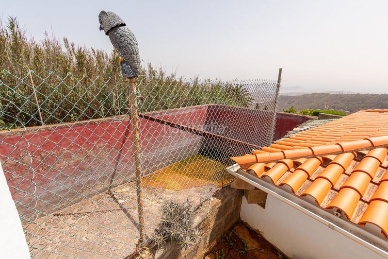 Foto ac8b9ef9-e5b1-4d86-b1b4-a21cfea822dc. Xalet amb calefacció aparcament a Los Castillos Arucas